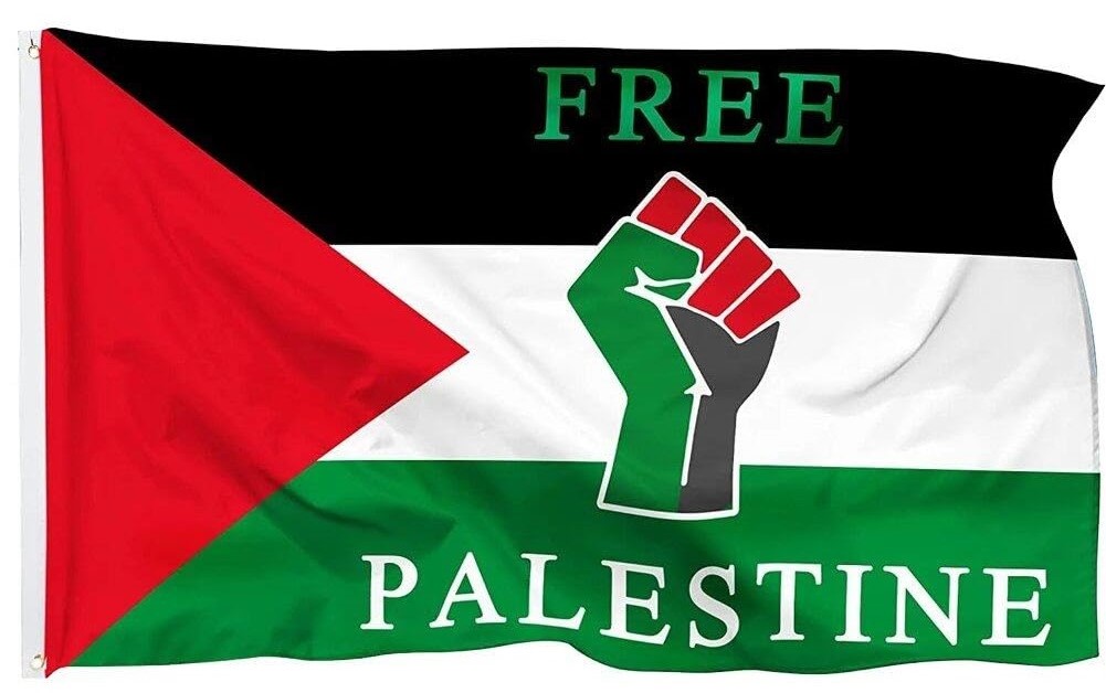 Free-d-1 Palestine as a Free Country: Aspirations and Realities